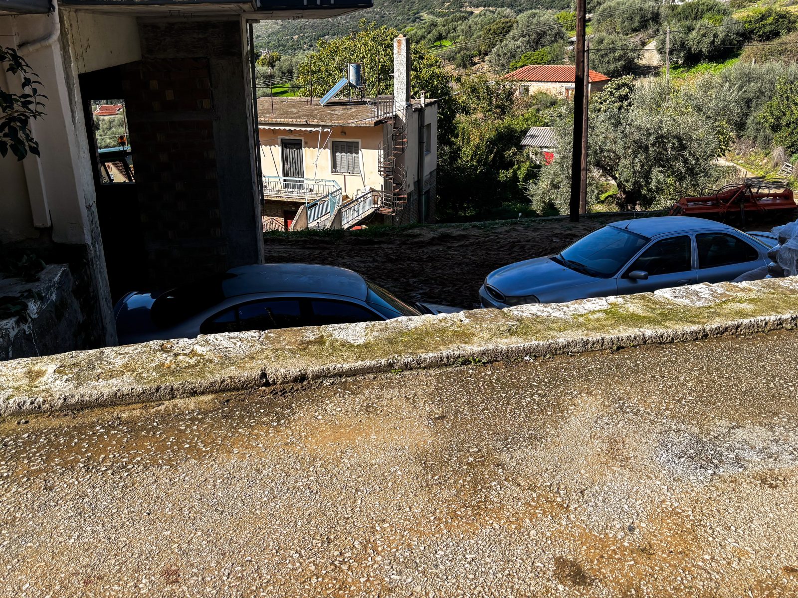 Αχαΐα: Τι φοβόταν ο 25χρονος και δεν είπε την αλήθεια για τη γουρούνα