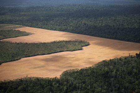 COP30: Ενα βήμα μπρος, δύο πίσω – Η κλιματική κρίση δεν έγινε ποτέ πολιτική