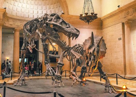 Ξαναγράφεται η ιστορία των τυραννόσαυρων