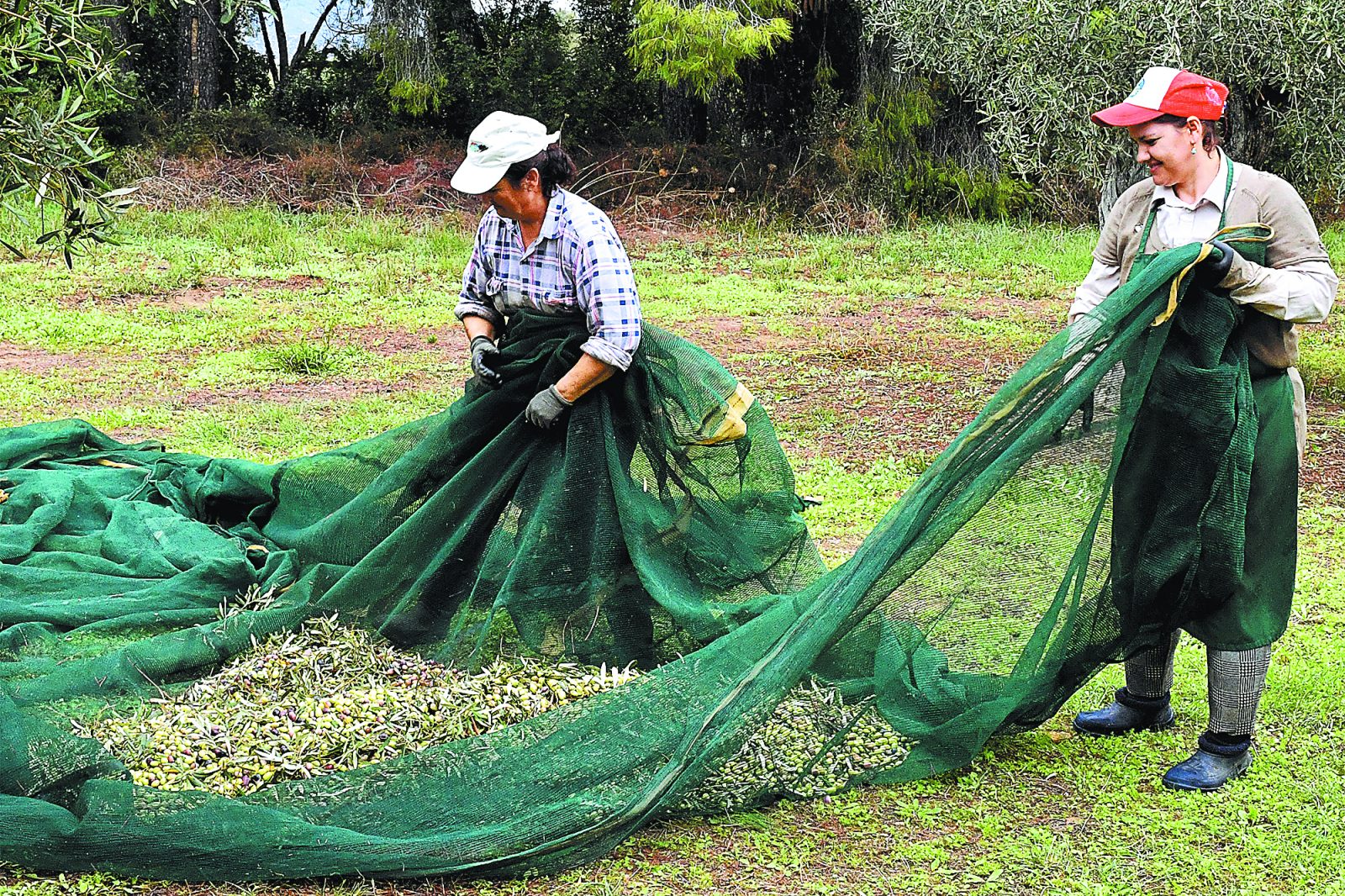 Ενα δράμα από τη Δράμα