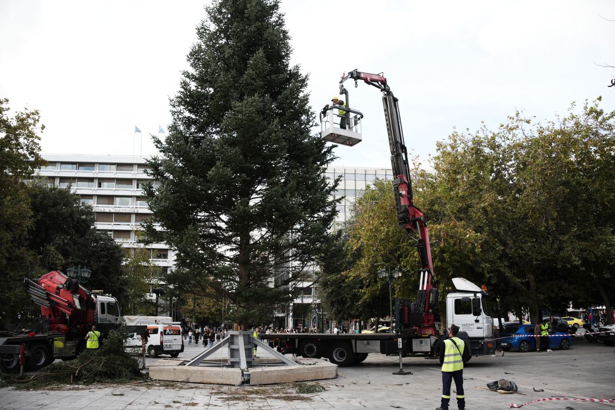 Στήθηκαν τα χριστουγεννιάτικα δέντρα σε Αθήνα-Θεσσαλονίκη