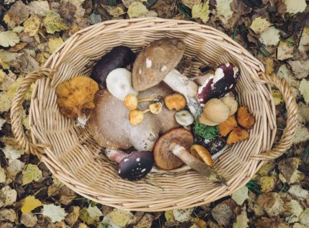 Εκτάκτως στην Ιταλία το ζευγάρι που δηλητηριάστηκε από μανιτάρια – Τα κρίσιμα 24ωρα