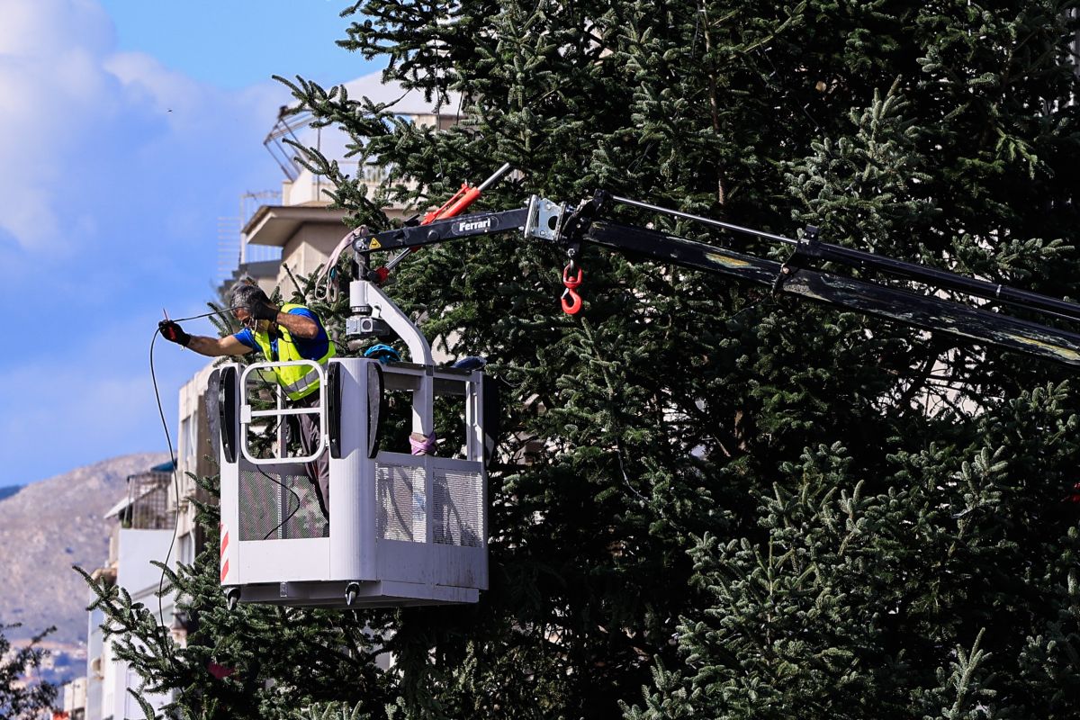 Ανάβει το χριστουγεννιάτικο δέντρο στο Σύνταγμα: 19 μέτρα με 168.000 λαμπάκια