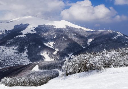 Ο Παρνασσός «ντύθηκε» στα λευκά – Έπεσαν τα πρώτα χιόνια (βίντεο)