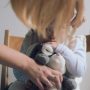 Φρίκη δίχως τέλος στη Γαλλία: Βιασμοί νηπίων μέσα σε σχολεία από επιμελητές