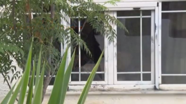 Σαλαμίνα: Οι τελευταίες κραυγές της 75χρονης πριν την δολοφονία – Νέο ηχητικό