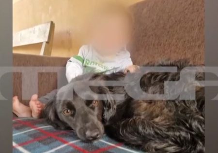 Ζάκυνθος: Οι τελευταίες στιγμές του 2χρονου πριν τη φονική επίθεση – Συγκινεί ο πατέρας