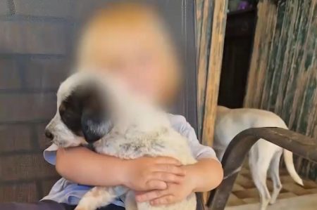 Συγκλόνισε ο πατέρας του 2χρονου που κατασπαράχθηκε από pitbull στη Ζάκυνθο - «Έχασα την ανάσα μου»