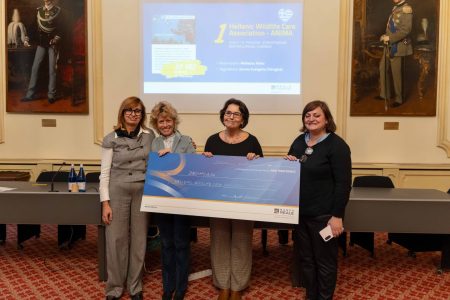 Η ΑΝΙΜΑ ανάμεσα στους νικητές του διεθνούς διαγωνισμού που αναδεικνύει κοινωνικά έργα