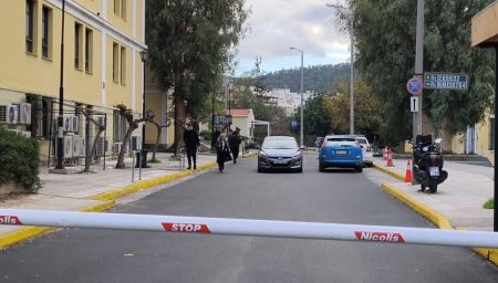 Δολοφονία Ελένης Παπαδοπούλου: Στον εισαγγελέα ο γιος της