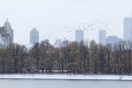 ΗΠΑ: Σφοδρή χιονοθύελλα σάρωσε την Ανατολική Ακτή – Στα «λευκά» η Νέα Υόρκη