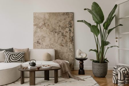 10 φυτά για καλή τύχη και θετική ενέργεια τη νέα χρονιά – Πώς να ανανεώσετε το σπίτι σας φυσικά