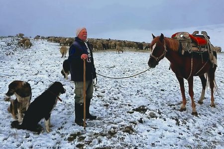 «Μοιάζει σαν να περπατάς μέσα σε ταινία»