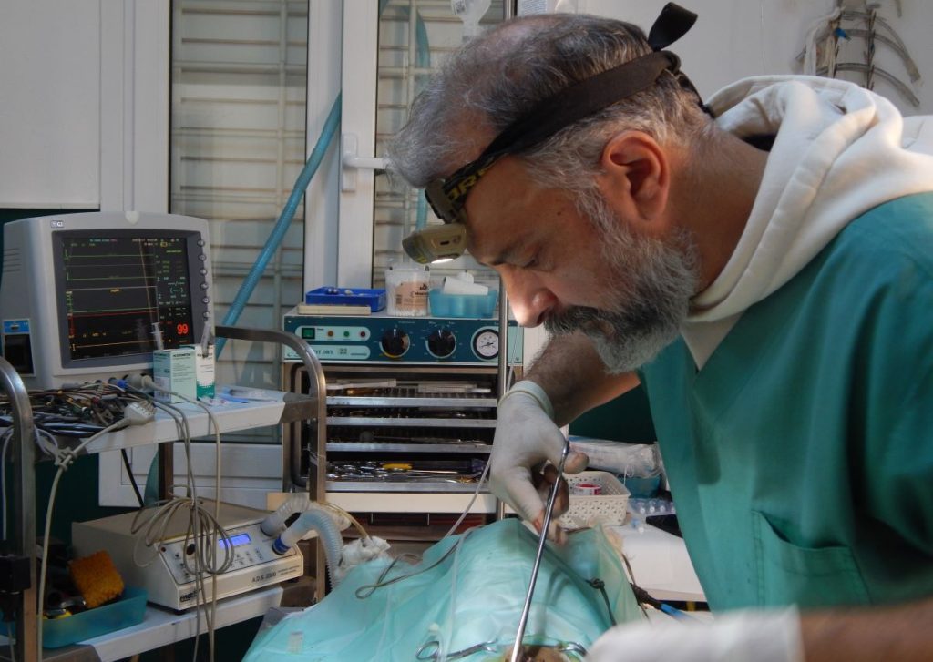 Ο «Ντοκ» των ζώων και των ανθρώπινων φόβων