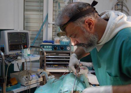 Ο «Ντοκ» των ζώων και των ανθρώπινων φόβων