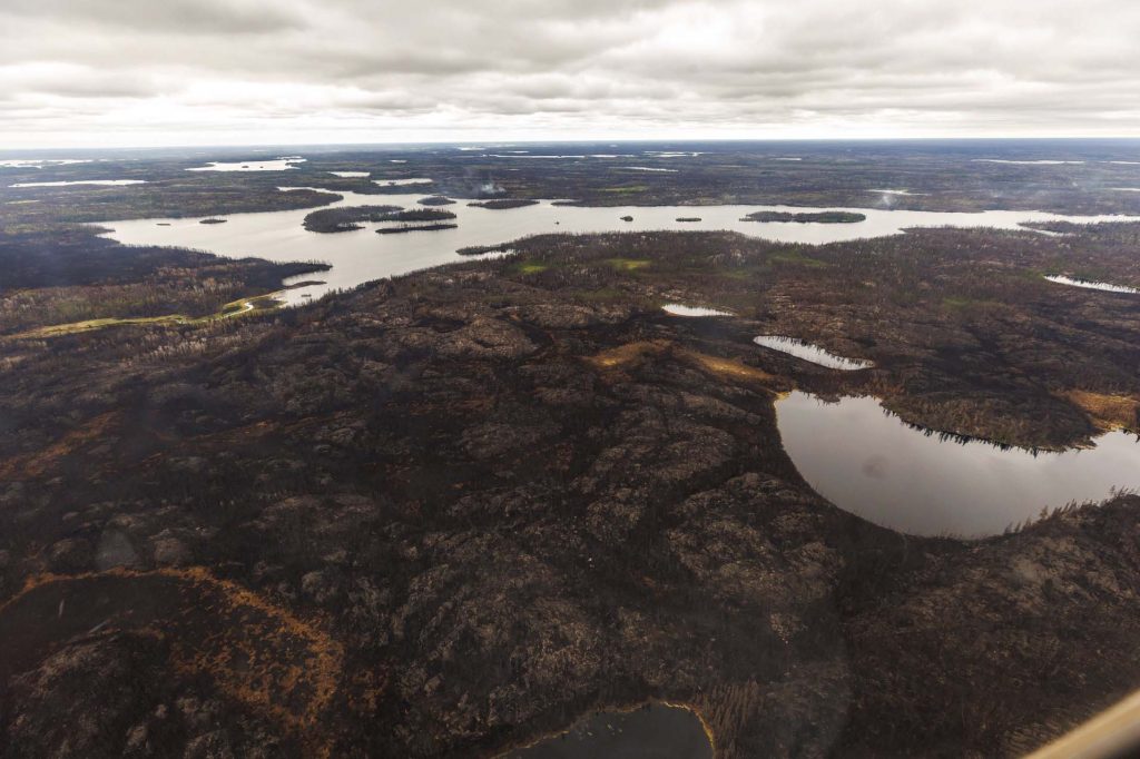 Ο πλανήτης χάνει τα δάση του