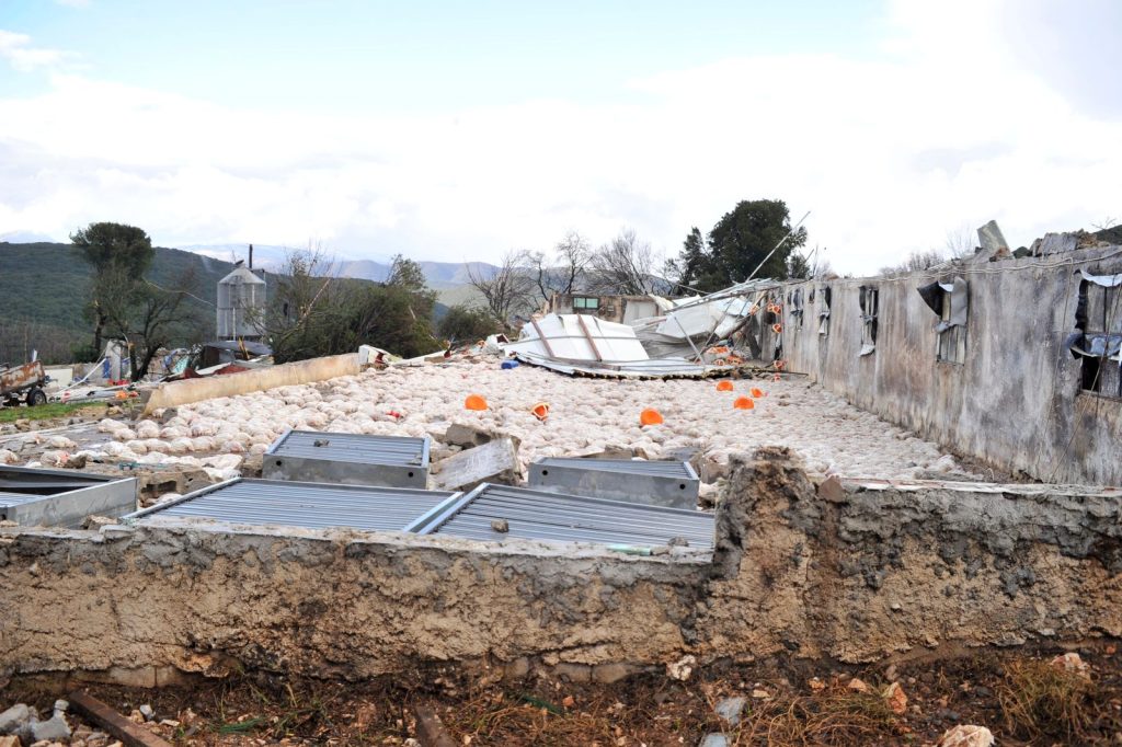 Κακοκαιρία στα Ιωάννινα: Ανεμοστρόβιλος ισοπέδωσε πτηνοτροφική μονάδα – Νεκρά 40.000 κοτόπουλα