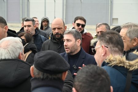 Ανδρουλάκης: «Σκάνδαλο η κατανομή του ενεργειακού χώρου»