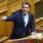 Καιρίδης: Όποιος δίνει άλλοθι στη Ζωή είναι άστοχο και ατυχές
