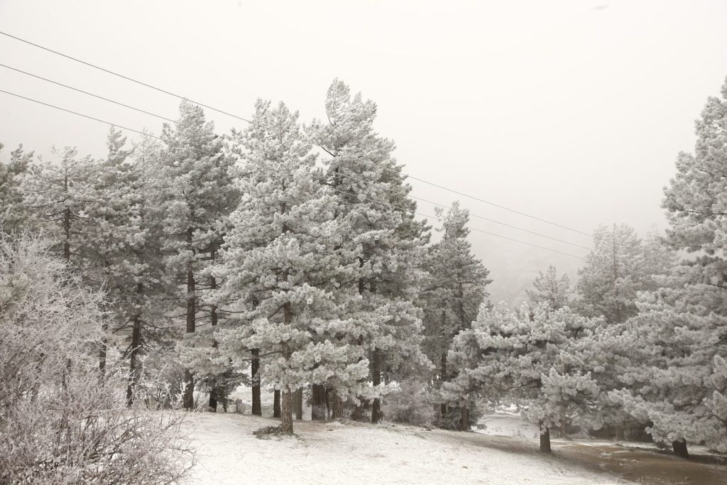 Λευκό τοπίο στην Πάρνηθα – Έπεσαν τα πρώτα χιόνια στην Αττική
