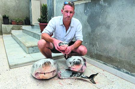 Οι λευκοί καρχαρίες της Μεσογείου κολυμπούν προς την εξαφάνιση