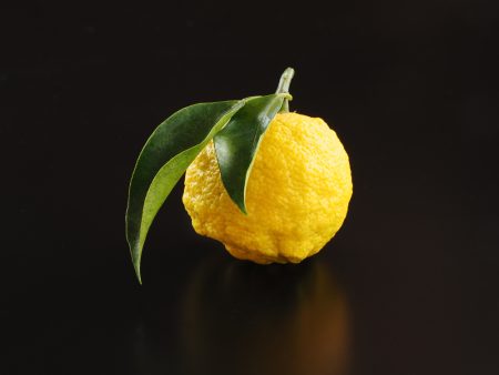 Κίτρο – Το τέλειο υλικό για ένα σούπερ αρωματικό κέικ