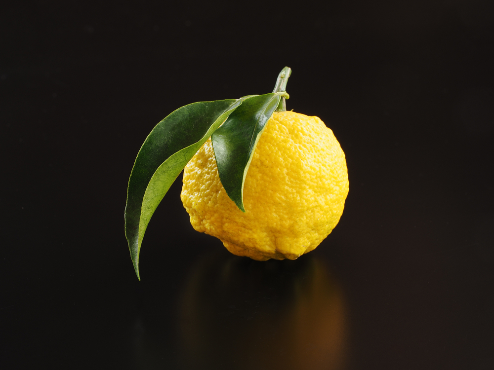 Κίτρο – Το τέλειο υλικό για ένα σούπερ αρωματικό κέικ