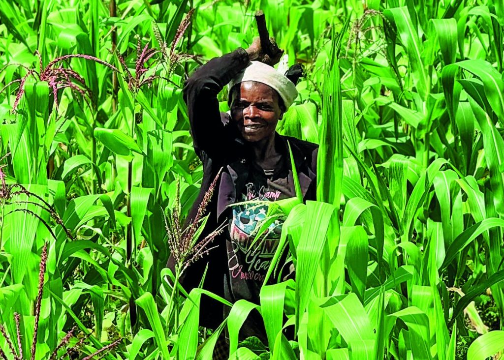 Ρουάντα: Το αύριο της Αφρικής γραμμένο με πράσινο