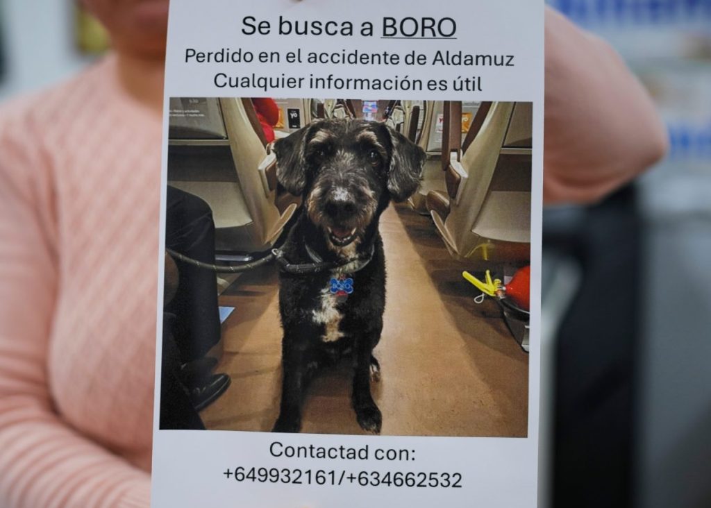 Ισπανία: Διασώθηκε σκύλος 4 μέρες μετά το δυστύχημα – Έφτασαν τους 45 οι νεκροί