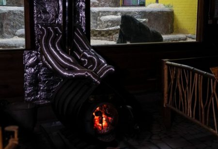 Το κρύο δοκιμάζει τον ζωολογικό κήπο του Κιέβου – «Κάθε μέρα είναι μια μάχη για ζεστασιά»