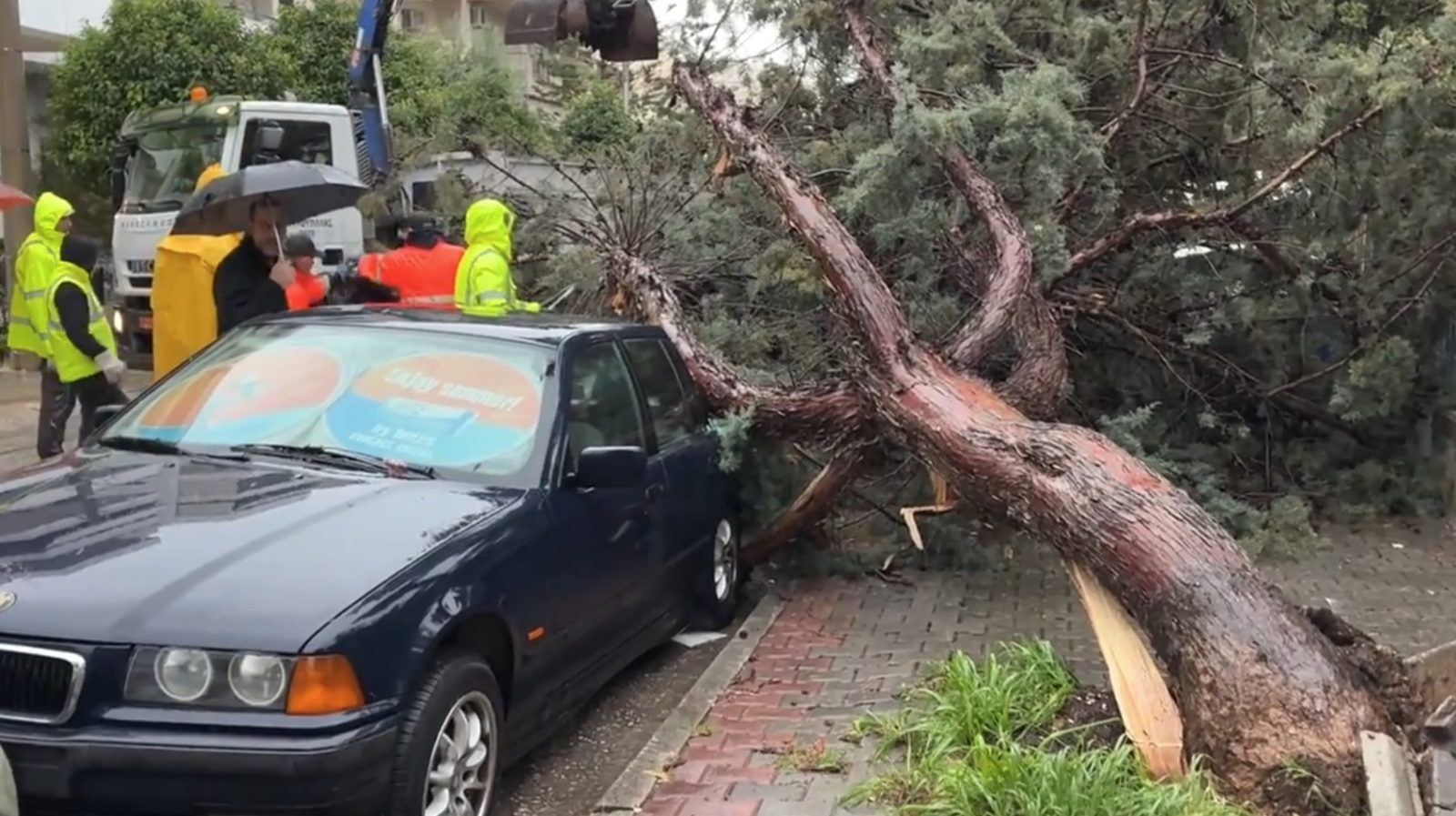 Ζημιές από την κακοκαιρία στην Αργυρούπολη – Δέντρα πέσανε σε αυτοκίνητα
