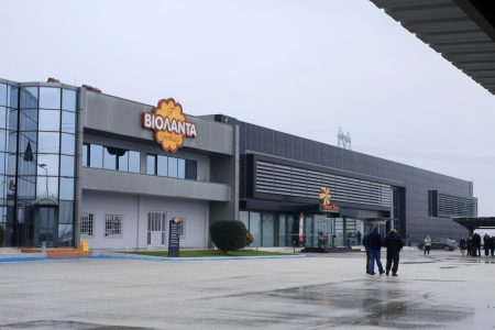 «Βιολάντα»: Πώς από συνοικιακό αρτοπιείο έγινε μεγάλη αλυσίδα