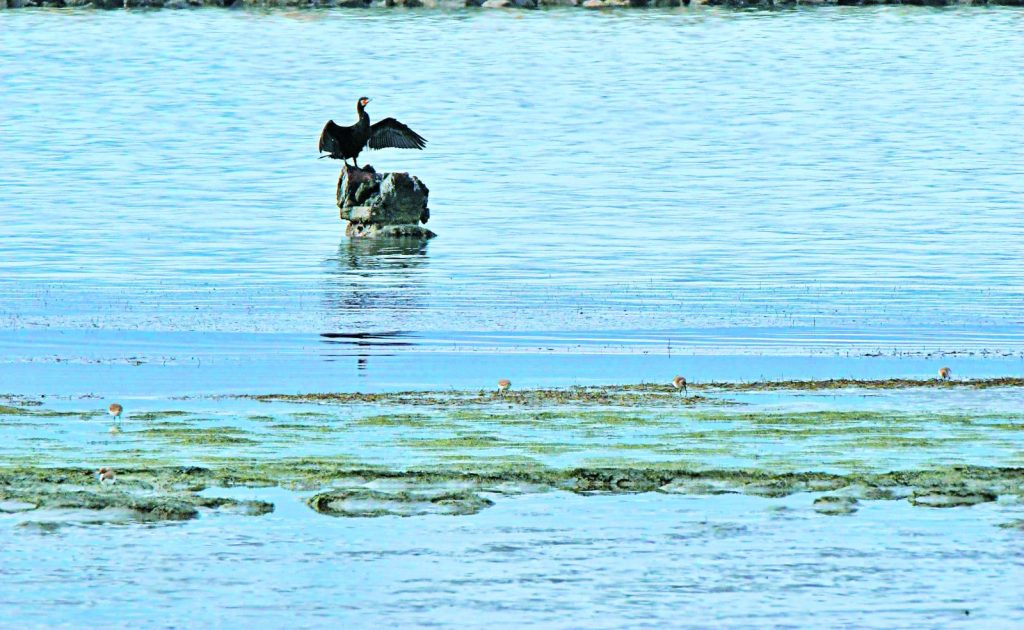 Αυτονόητη είναι μόνο η ανάγκη για εγρήγορση