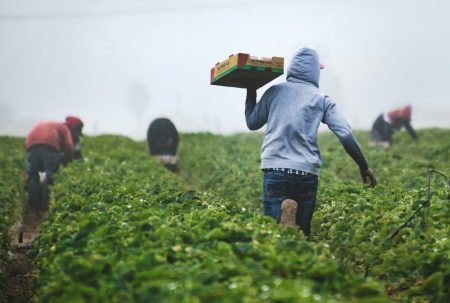 Δεκάδες χιλιάδες Ασιάτες μετανάστες στο στόχαστρο της Ελλάδας για εργασία