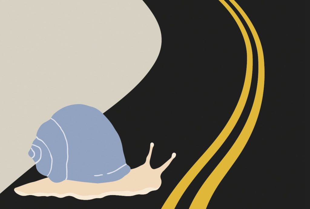 Το Σύνταγμα και το σαλιγκάρι