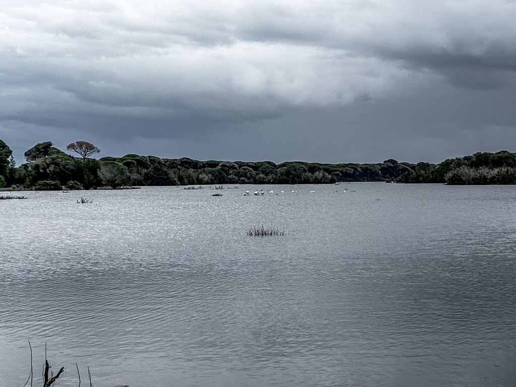 Έβρος: Σε δύο μήνες θα φύγουν τα νερά από τα χωράφια – Κρίσιμες οι επόμενες ώρες
