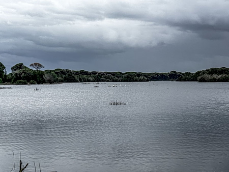 Έβρος: Σε δύο μήνες θα φύγουν τα νερά από τα χωράφια – Κρίσιμες οι επόμενες ώρες