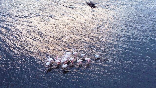 Ανεξέλεγκτα πειράματα