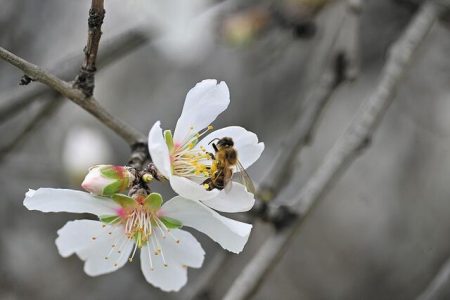 Ερωτήματα και δημοκρατία