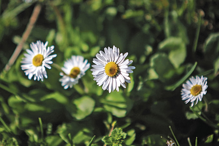 Πωλητές και αγοραστές