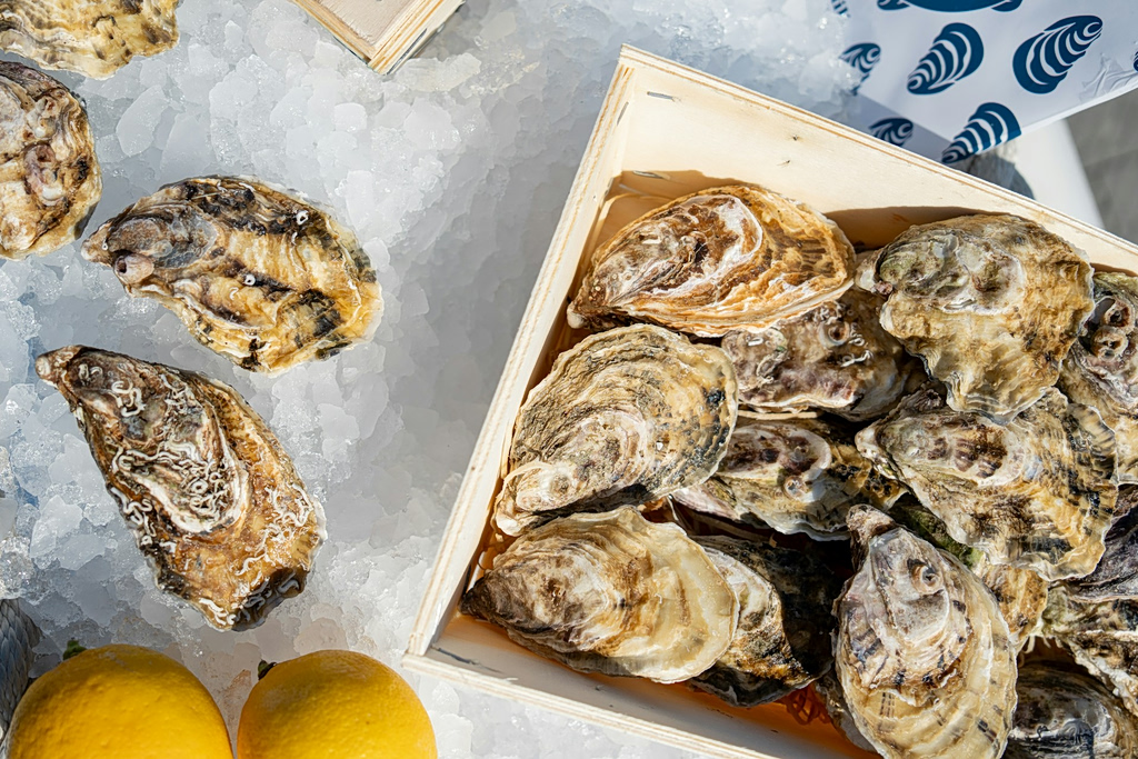 Όσα πρέπει να γνωρίζουμε για τα στρείδια, τα όστρακα που κατέκτησαν τον κόσμο