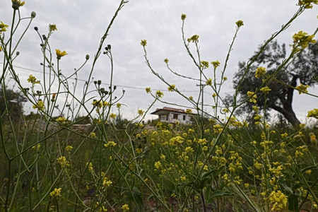 Πάσχα με «εκπλήξεις» στον καιρό: Έρχονται βροχές και χαμηλότερες θερμοκρασίες