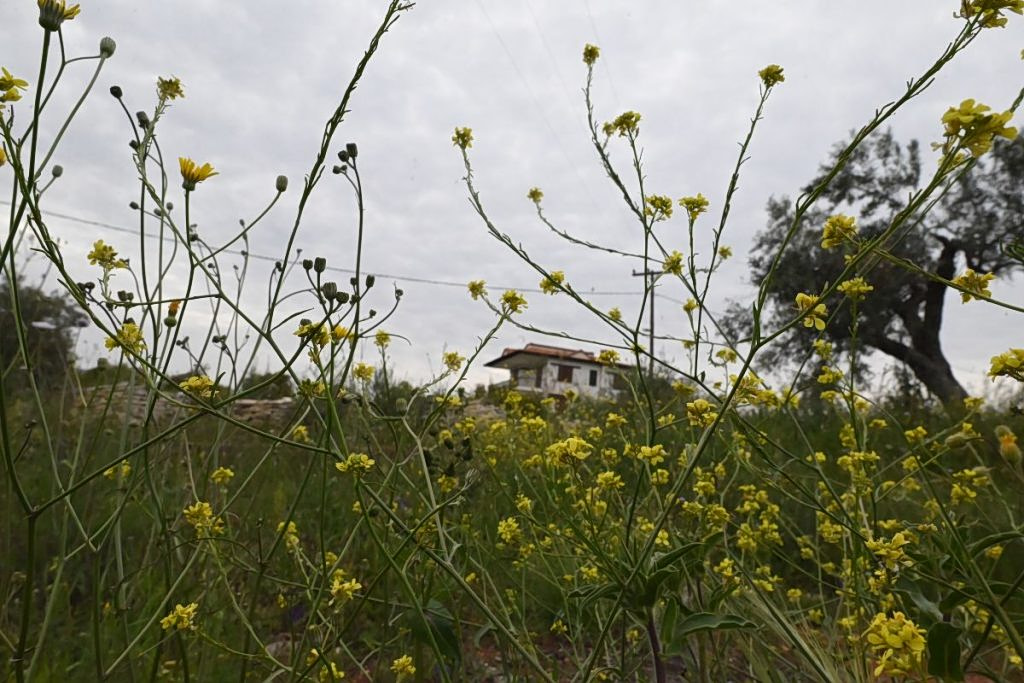 Πάσχα με «εκπλήξεις» στον καιρό: Έρχονται βροχές και χαμηλότερες θερμοκρασίες
