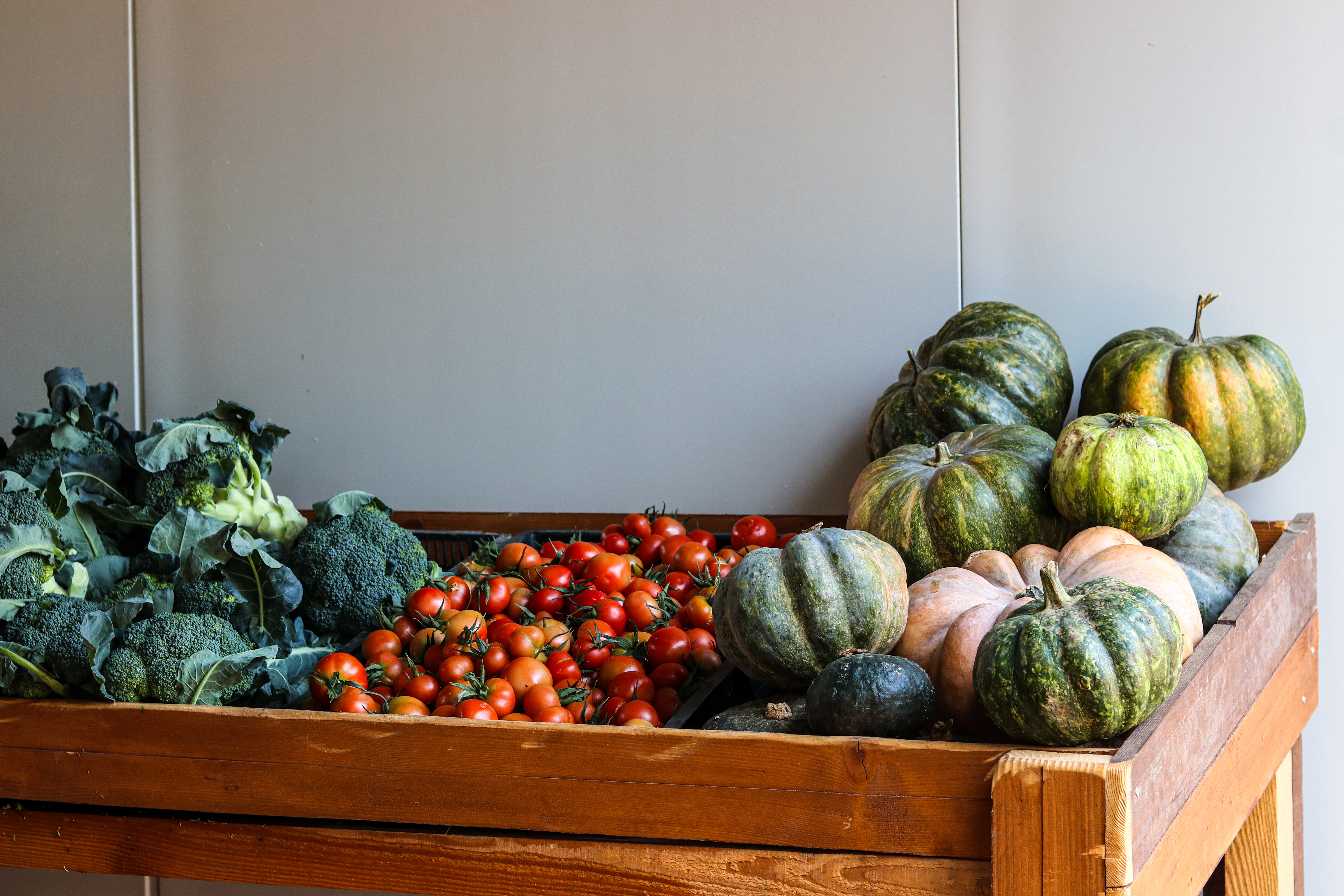 Βρεθήκαμε στο οικολογικό Αγρόκτημα Διαμάντι στον Μαραθώνα