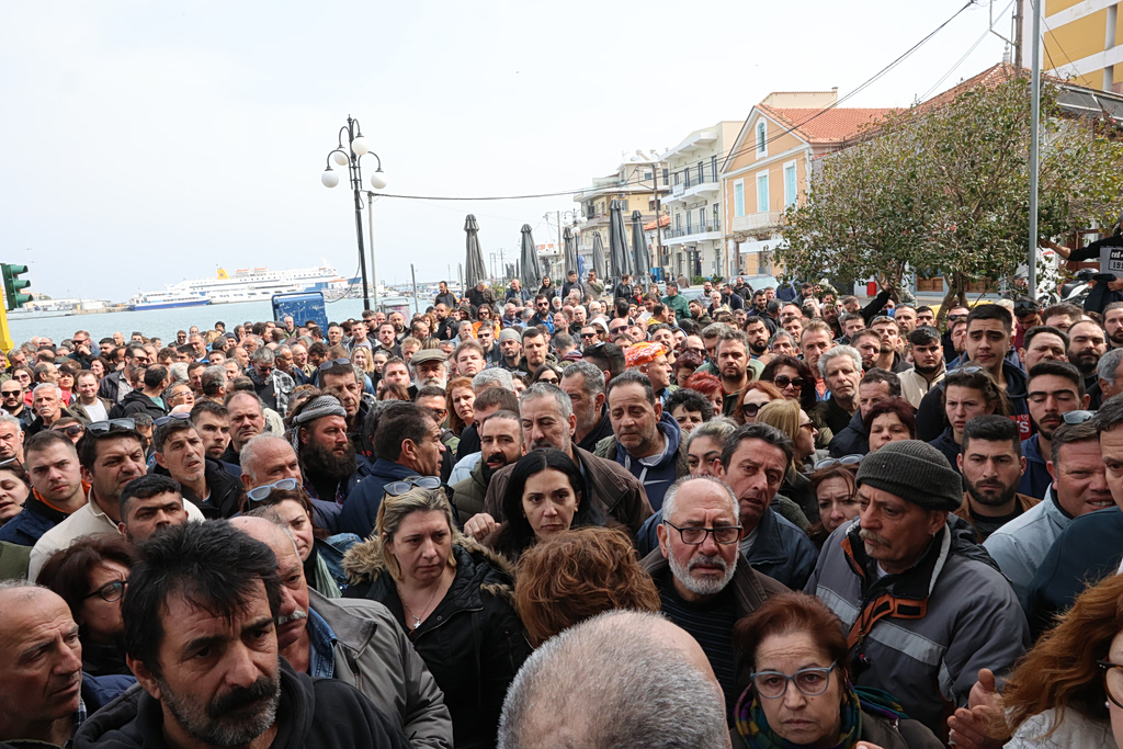 Λέσβος: «Βόμβα» στα θεμέλια της κτηνοτροφίας ο αφθώδης πυρετός – Σε απόγνωση οι παραγωγοί