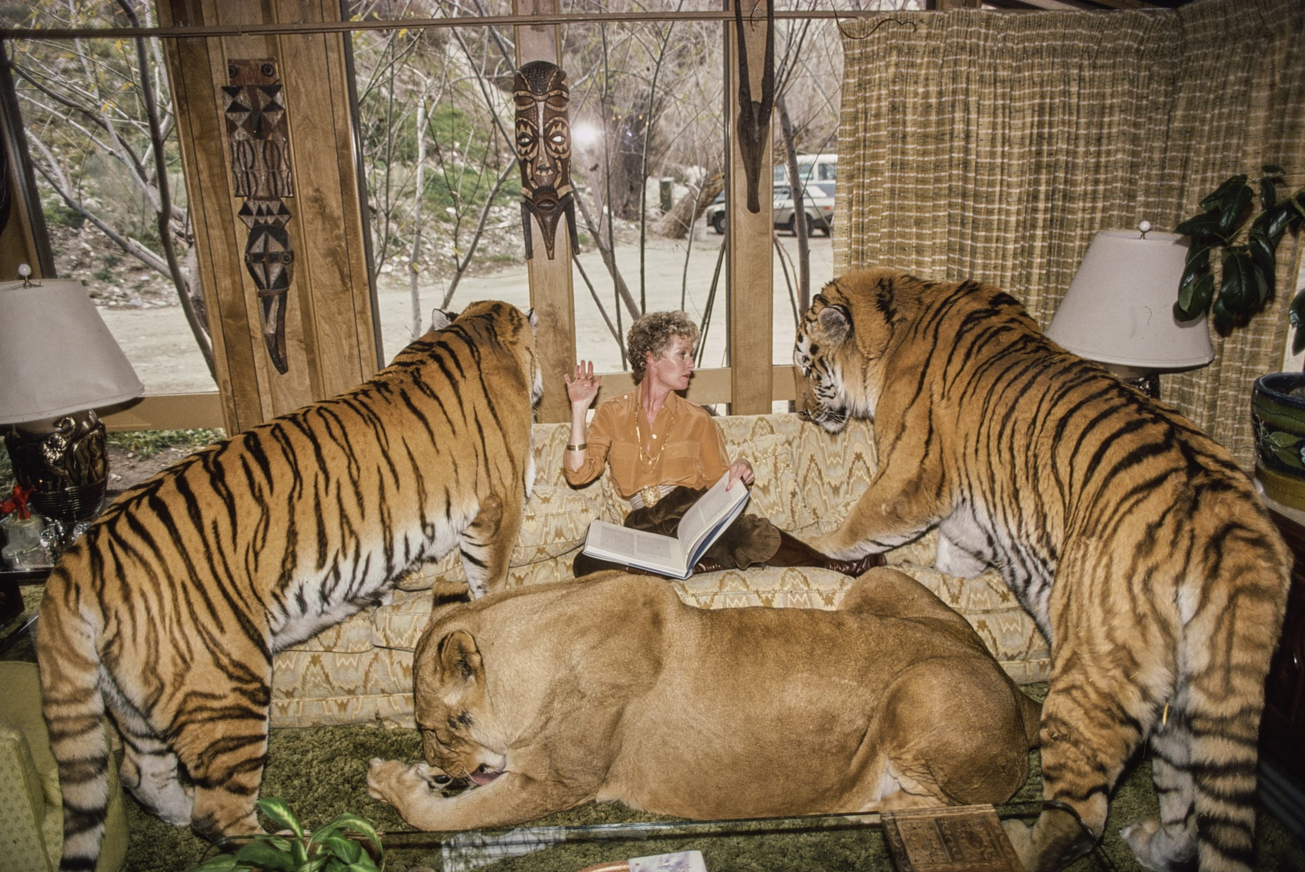 Τίπι Χέντρεν – Η ηθοποιός που κοιμόταν με αληθινά λιοντάρια σε μεταξωτά σεντόνια