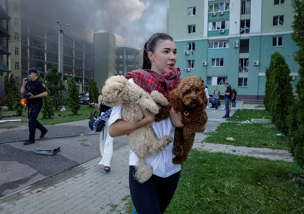 Πόλεμος στην Ουκρανία: Πώς αλλάζει η εξέλιξη των σκύλων κοντά στο μέτωπο