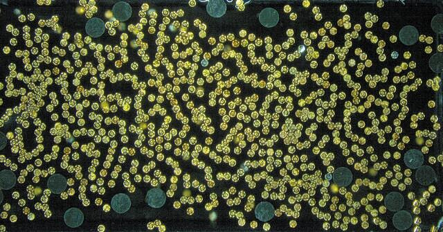 Αόρατη δύναμη σε μικροκλίμακα