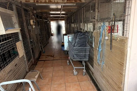 Αρχιτέκτονας ο 55χρονος που έστησε το μαντρί στην ταράτσα – Στο ίδιο κτίριο και ο ΕΦΕΤ