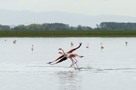 Ανοίγει ο δρόμος για χτίσιμο σε περιοχές Natura